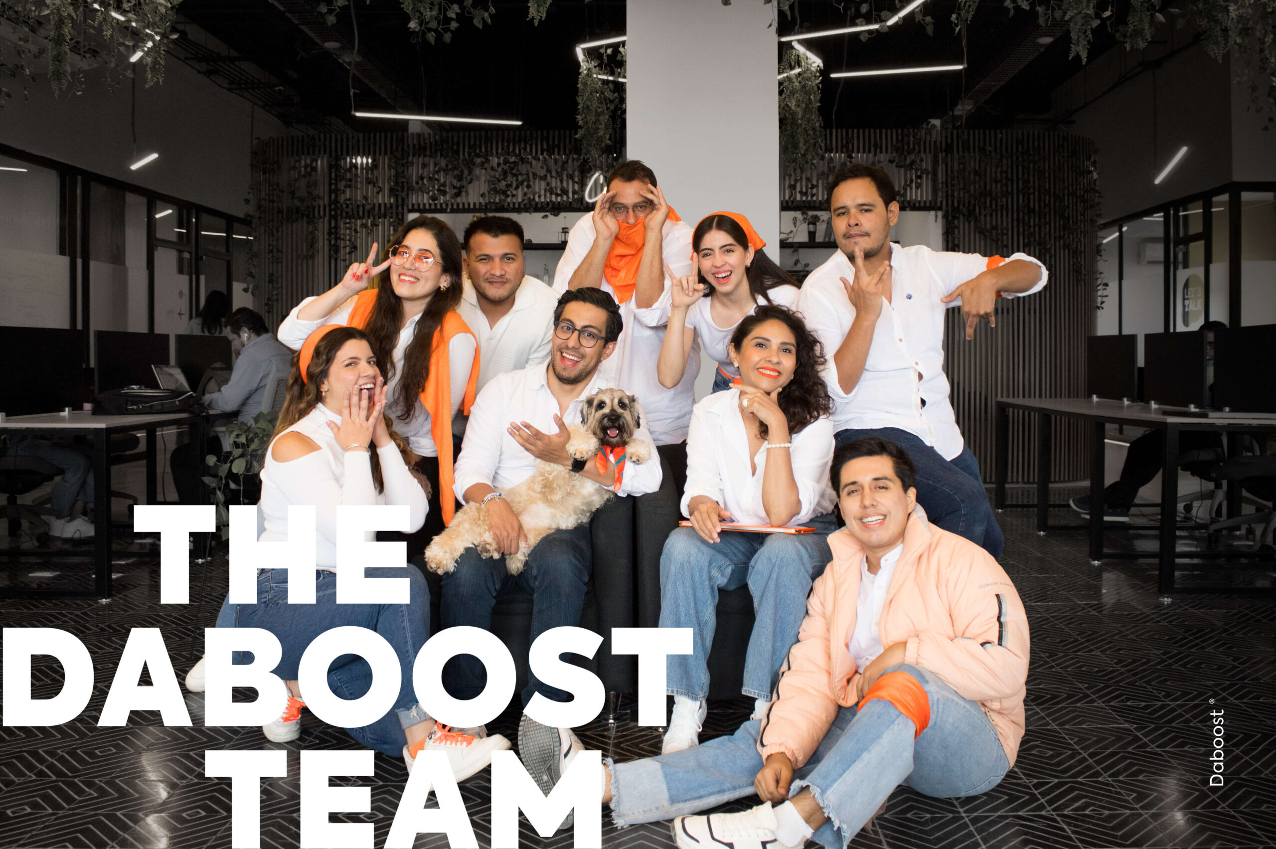 The bdaboost team